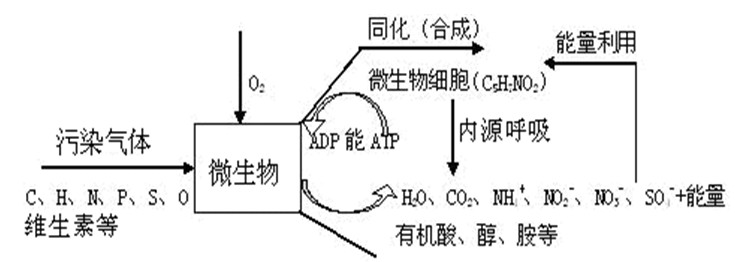 污水池废气处理工艺图